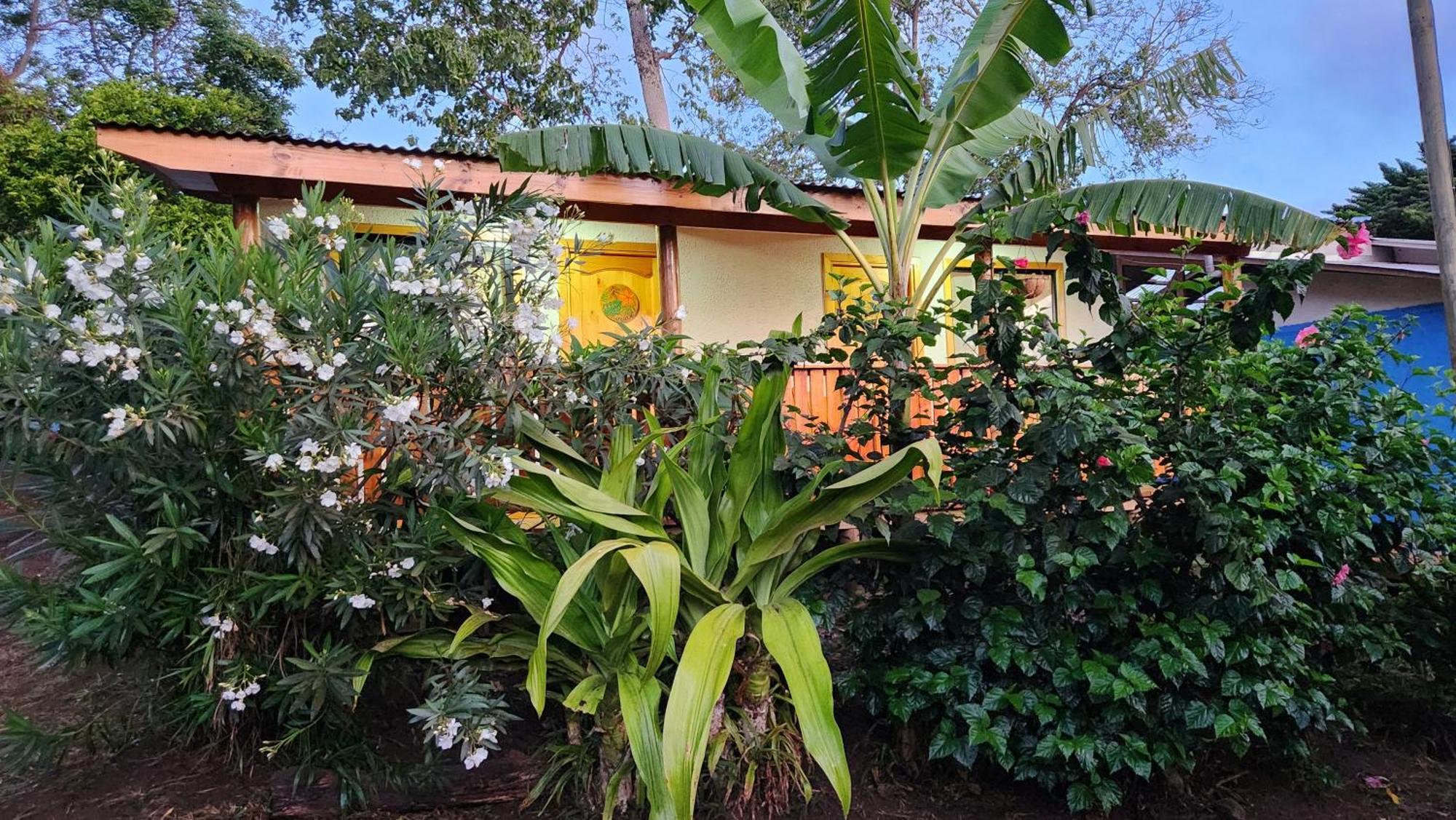 Ferienwohnung Hare O Haupiano Hanga Roa Exterior foto